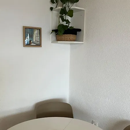 Apartment Markota *